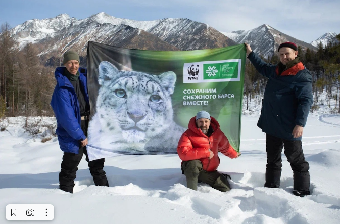 Более 11 лет Siberian Wellness помогает защищать снежного барса, и организованный Компанией пресс-тур приурочен к полевой экспедиции